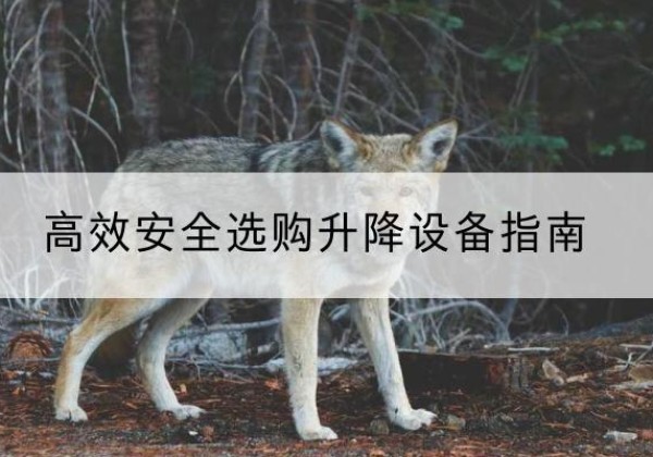 张家港升降货梯厂家推荐-*安全选购升降设备指南