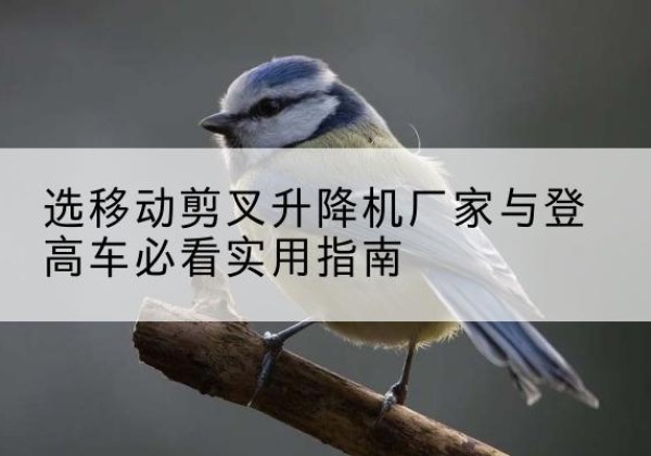 张家港电动升降机厂家-选移动剪叉升降机厂家与登高车必看实用指南