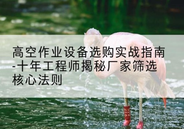 张家港剪叉式升降机厂家-高空作业设备选购实战指南-十年工程师揭秘厂家筛选核心法则