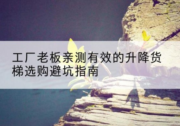 张家港升降货梯怎么选-工厂老板亲测有效的升降货梯选购避坑指南